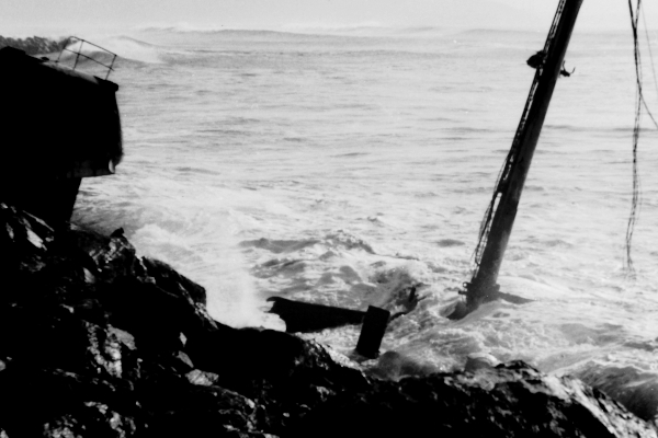 Toralin by J.C. Valdés Toralin by J.C. Valdés